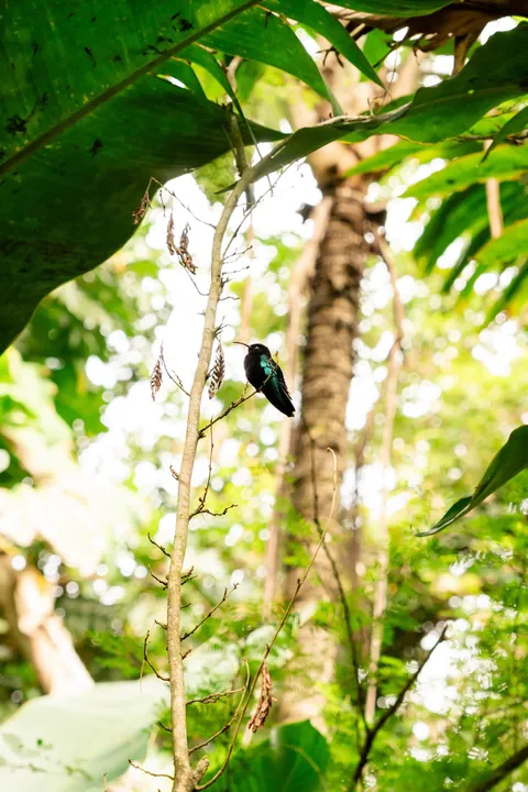 10 days in Saint Vincent and the Grenadines