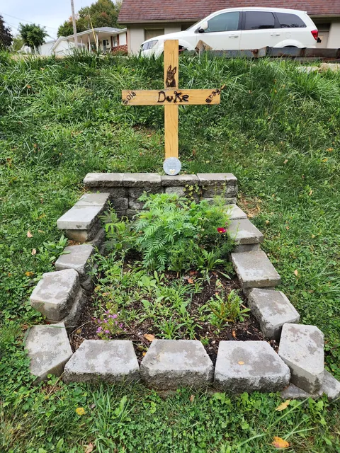 When my dog passed away I made his grave a flower bed and grew wild flowers cause he loved butterflys.