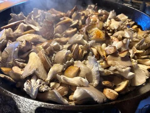 [homemade] baked mushroom Marsala tortiglioni