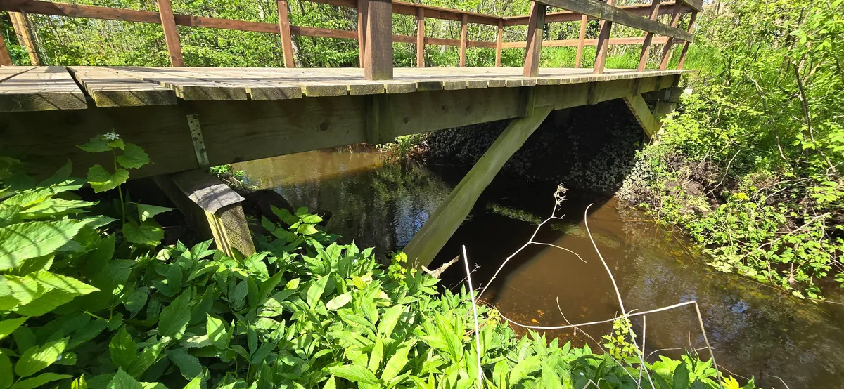 Built a Greenhouse on a Deck Over my Creek: A Summer-Long DIY Adventure
