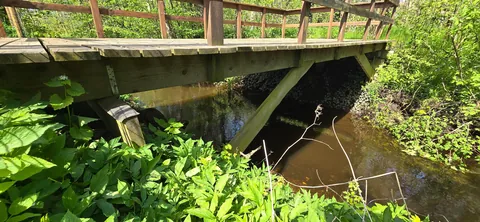 Built a Greenhouse on a Deck Over my Creek: A Summer-Long DIY Adventure