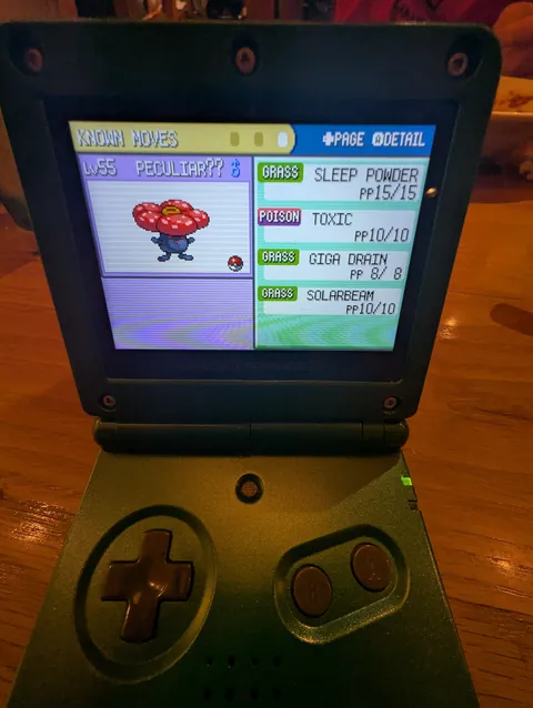 145 Hours On Pokemon Fire Red Before the Elite 4, Here's My Team!