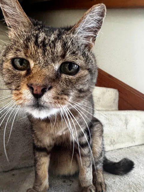 Leo turned 20 today! 🎉🎉🎉