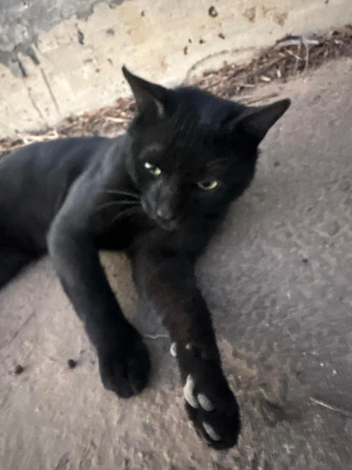 I think I really fucked up :(