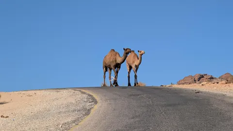 Jordan - 10 days in the jewel of the Middle East