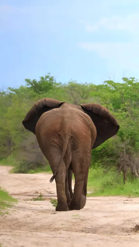 December in Botswana