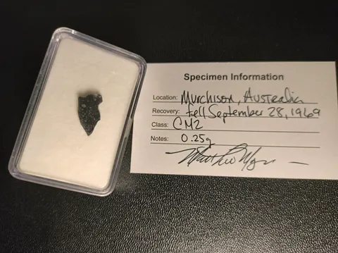 This meteorite slice contains grains that predate our solar system