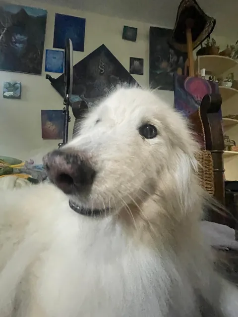 Pictures of the Queen!! She turned 14 April 23