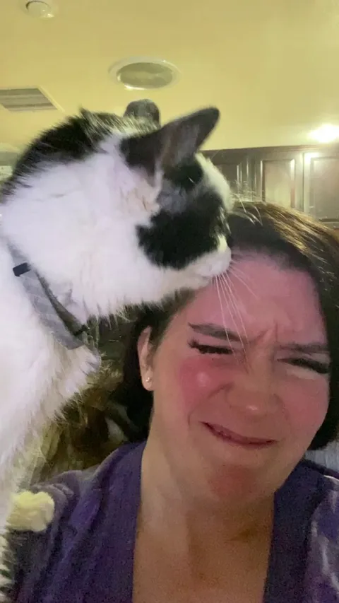 So my 19yr old cat really really likes me lately.