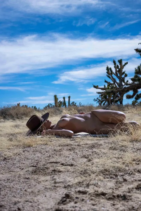 Among the wind and the trees