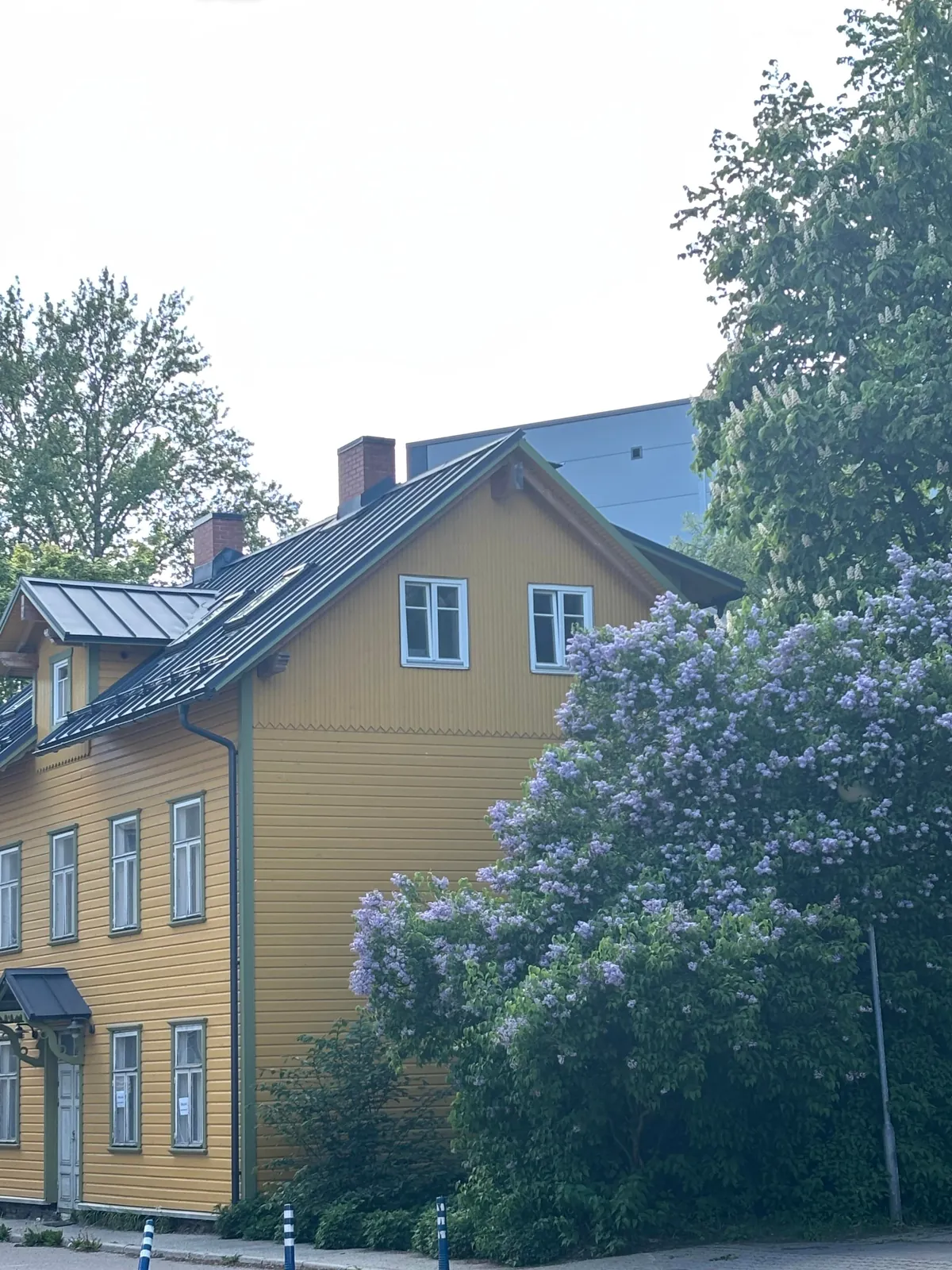 Tallinn in late spring