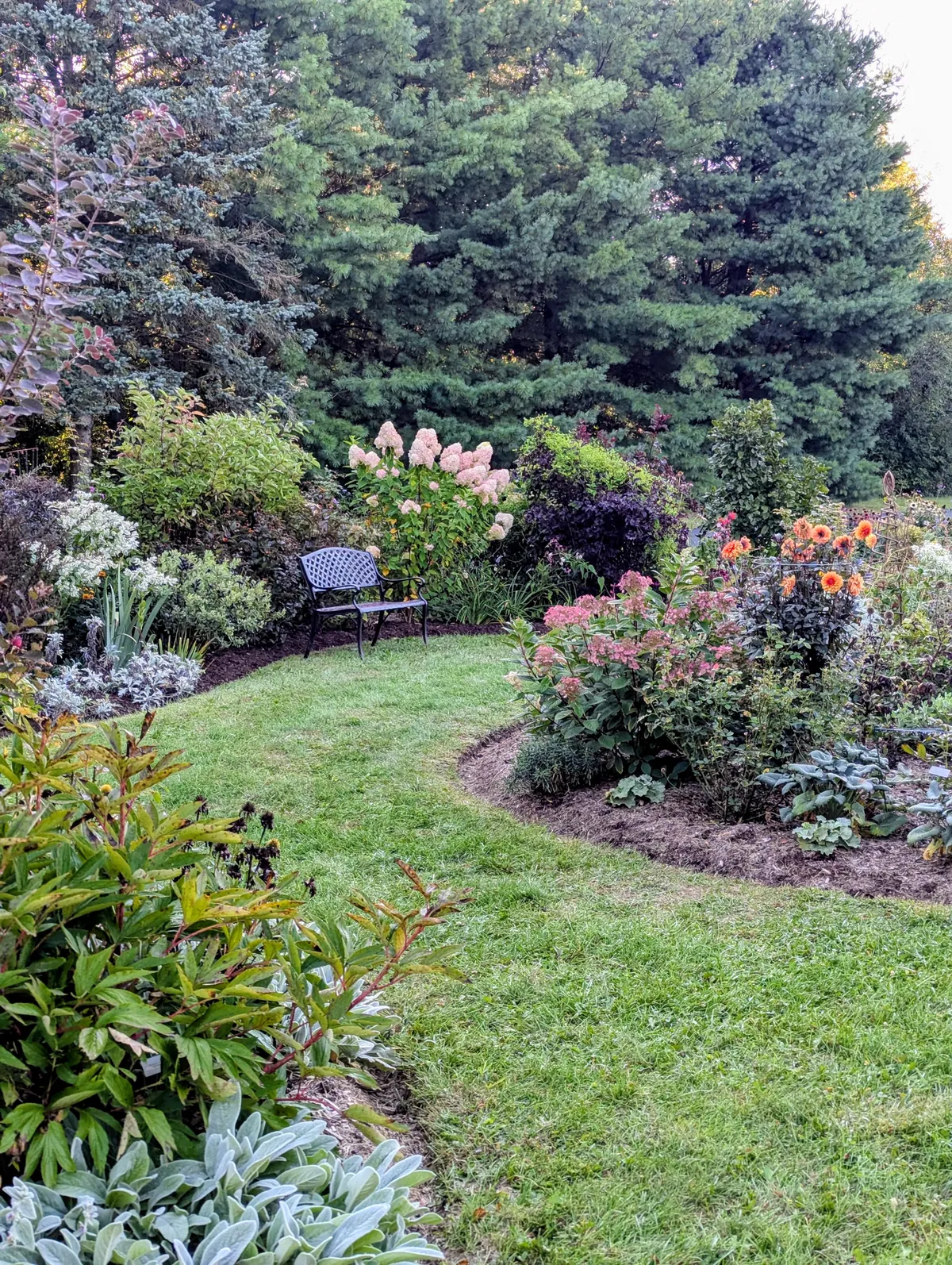 September in my garden