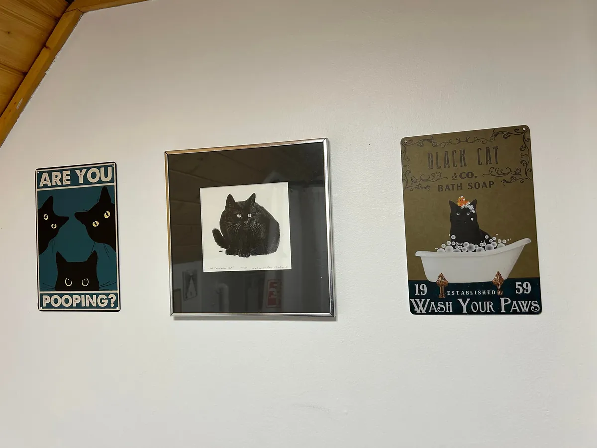 Black Cat Themed Bathroom