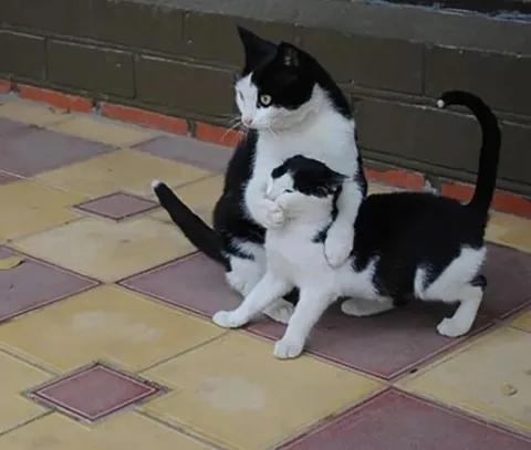 When your brother wants to tell his parents everything