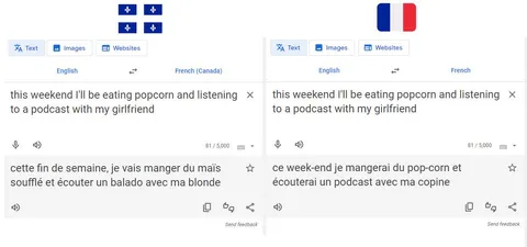 Google Translate vient d'ajouter récemment le français canadien