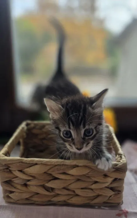 A brief pause in your feed for some cuteness