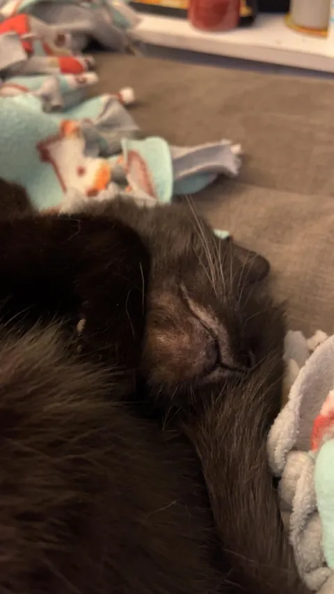 just wanted to share my 17 yr old boy today💜