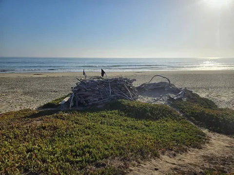 The Crow's Nest, a drift wood fort built by me on a beach in Central California