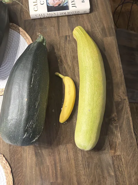 I got extremely sick and forgot about my garden. I am finally better and went to check it out.