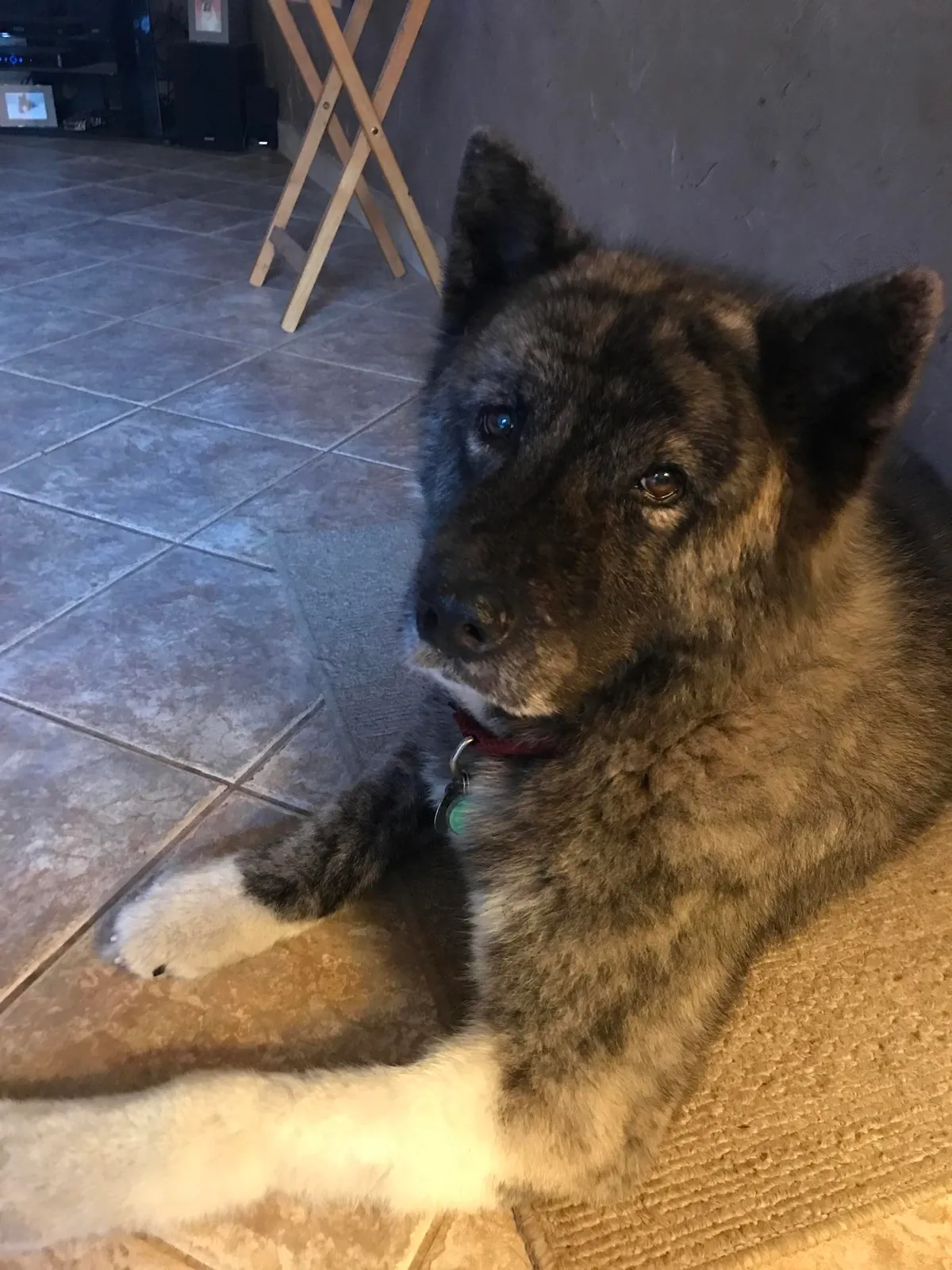 Extremely rare 2005 vintage, 14 years 8 months.