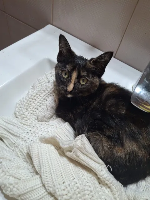 6 months since I got these fluff balls