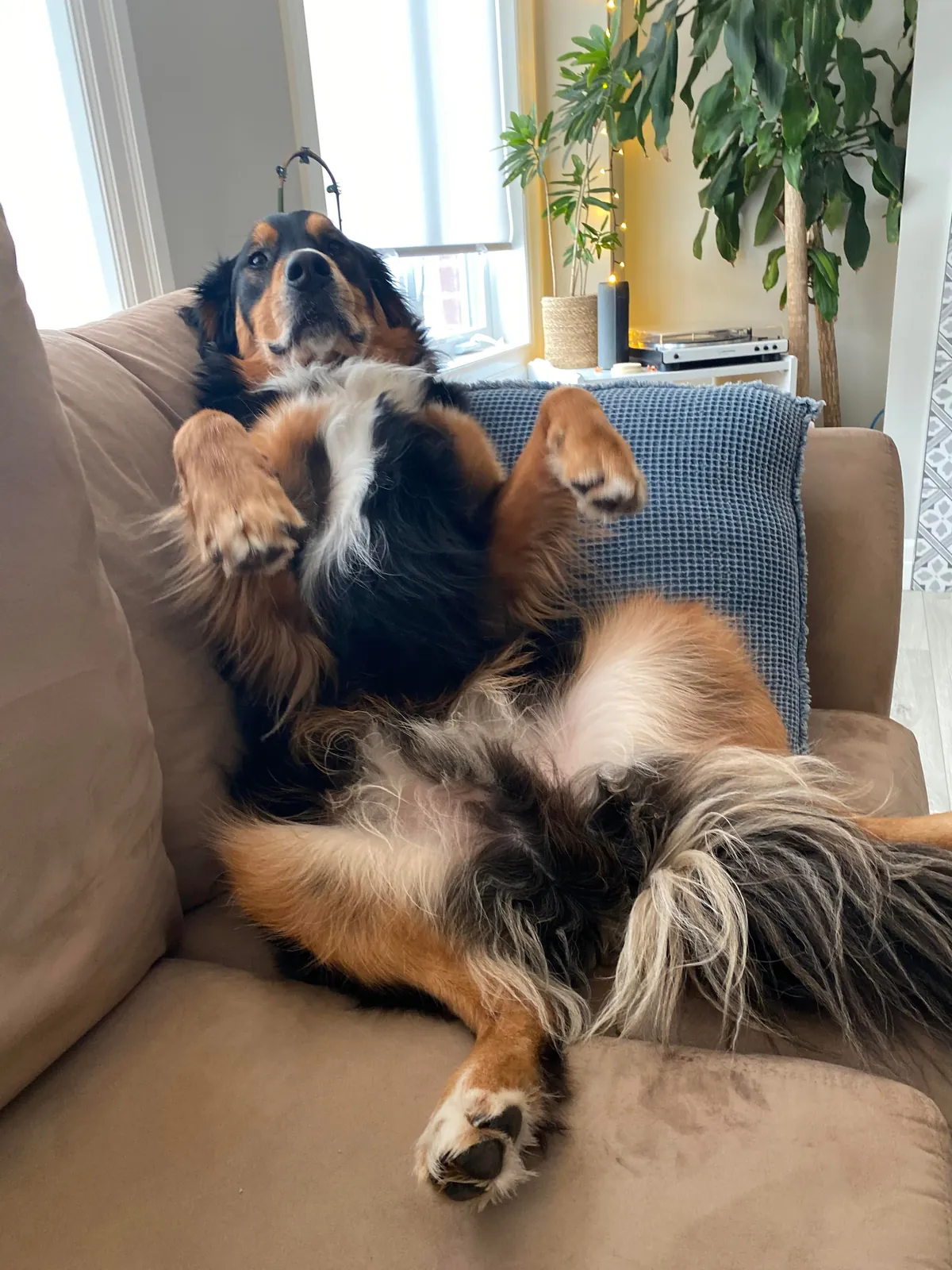 6 years later and we have a wise older brother in the making. ❤️🥰