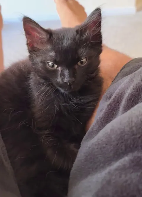 Ozzy can’t keep his eyes open