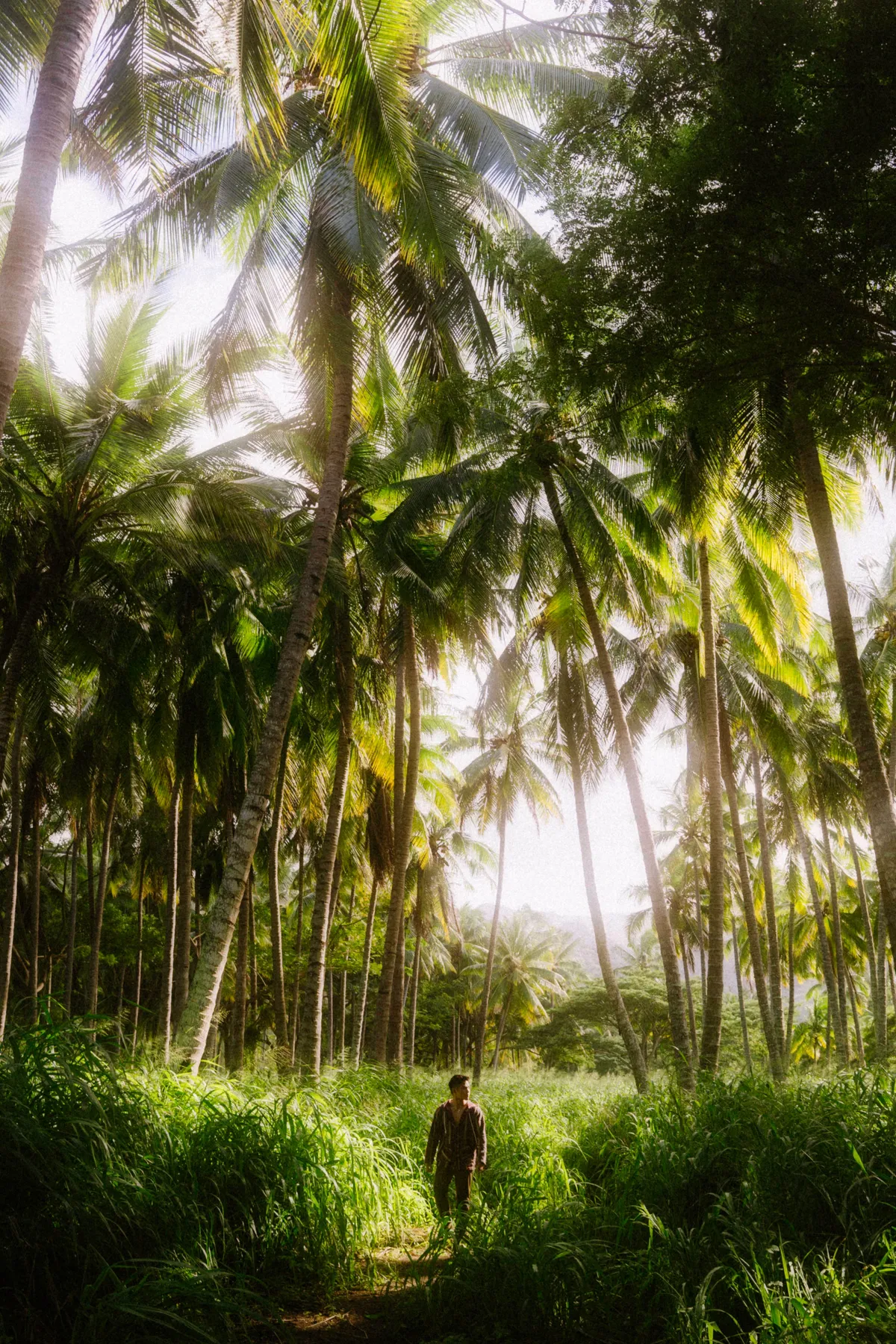 What do you think? Trying a more filmic editing approach.