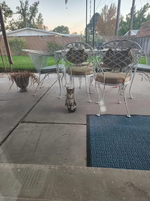 What should I do. Befriend or let her be.