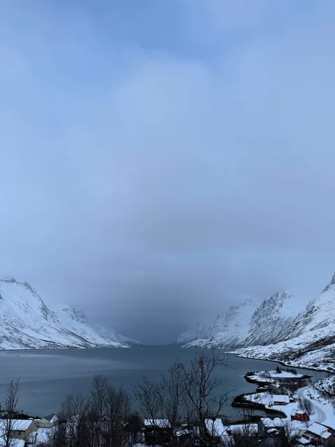 Saw the northern lights for the first time in Tromso, Norway