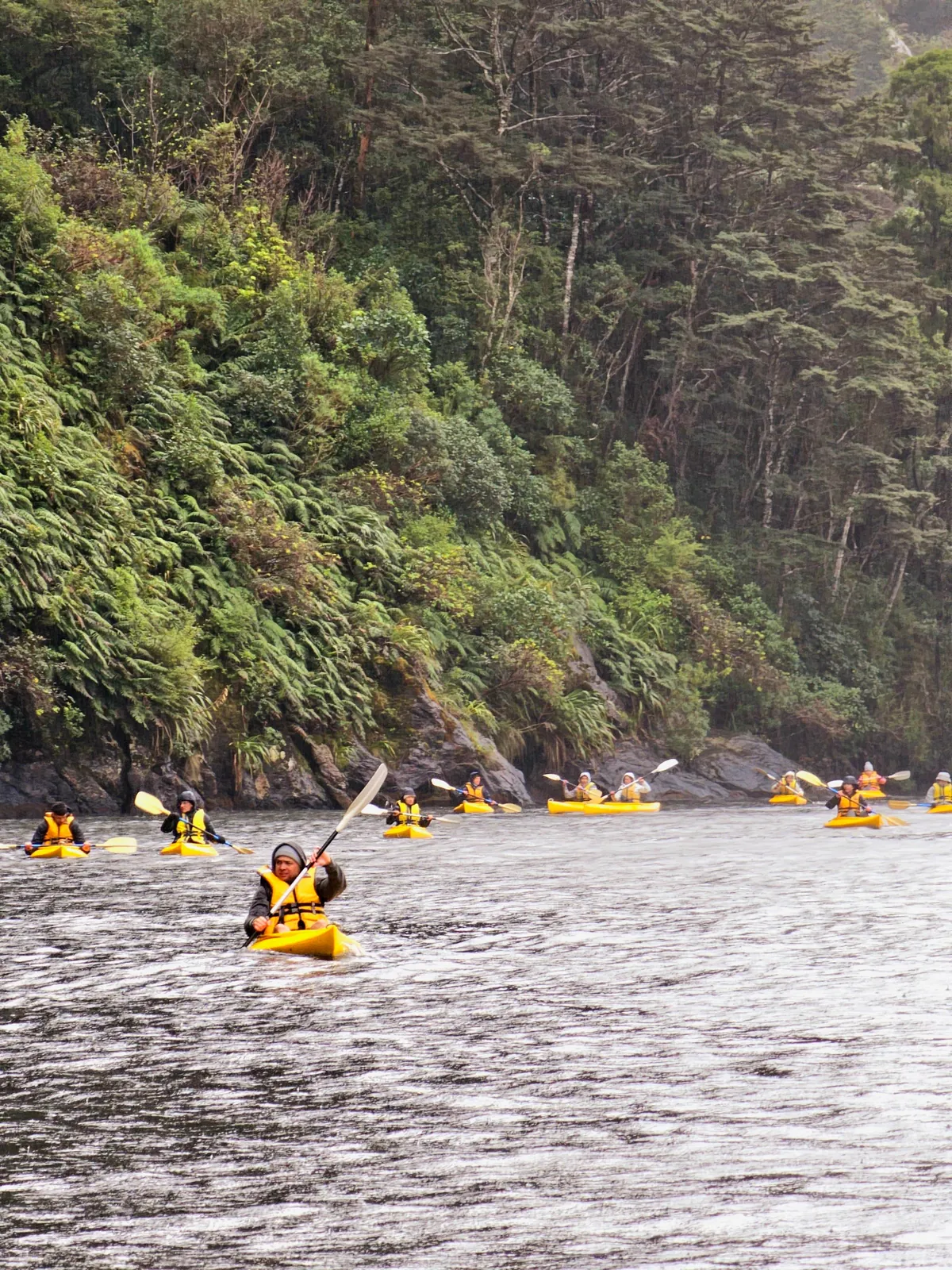 Doubtful Sound - New Zealand