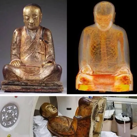 After a CT scan on this 1000 year old Buddha statue, scientists found the remains of a mummified monk inside
