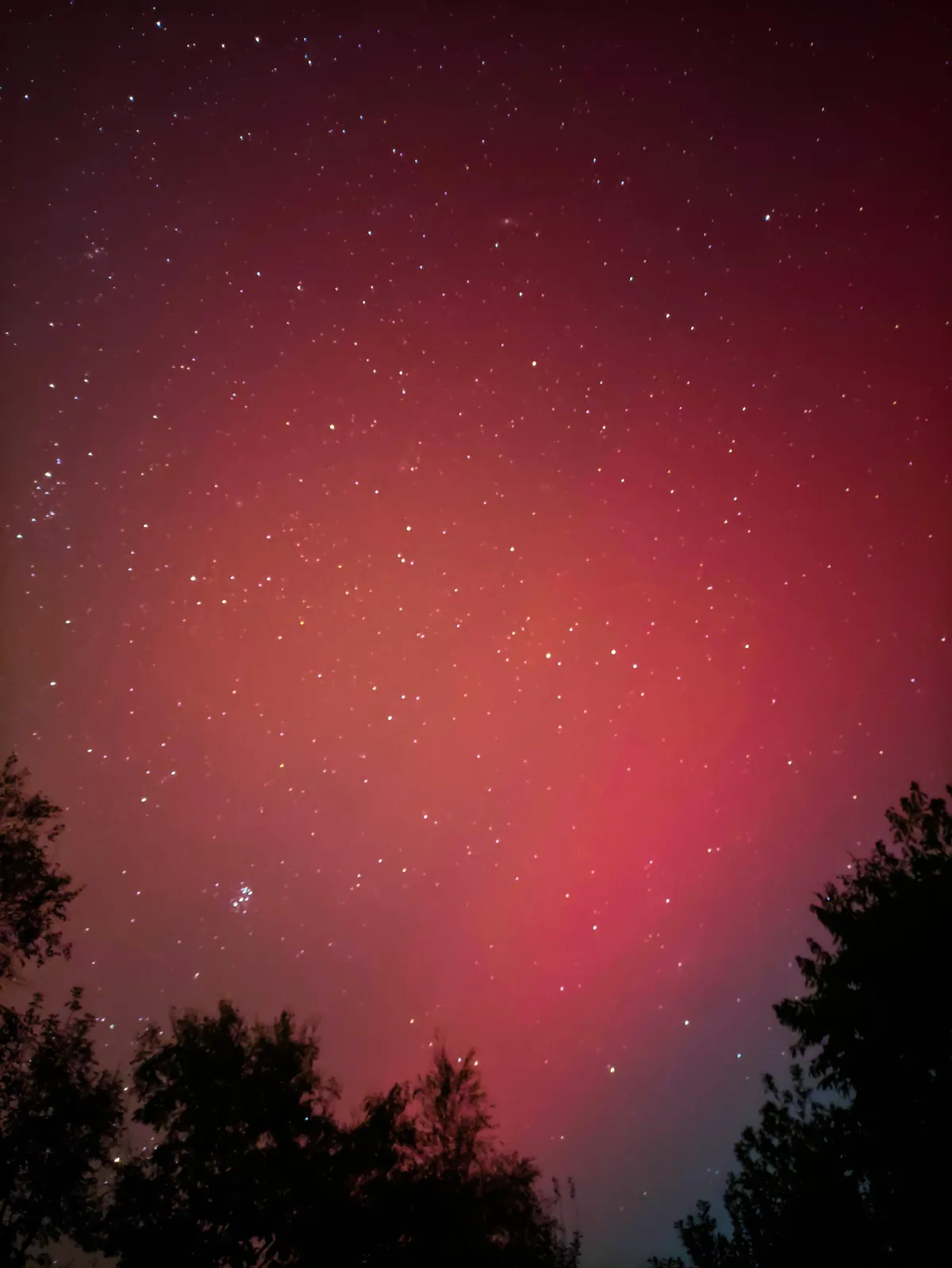 One more picture of Aurora night 