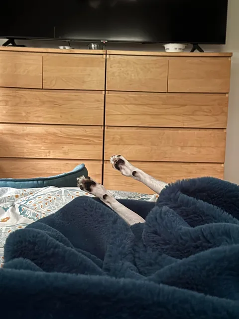 I look up from my phone to see Milo airing out his peets