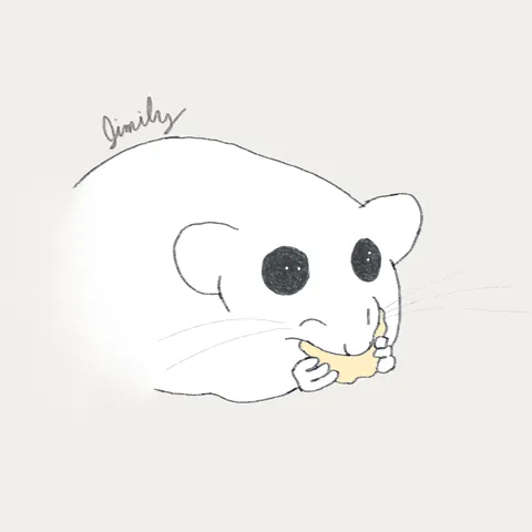 The many faces of Jimily (not my rat, I'm just fangirling because who can resist those boba eyes)