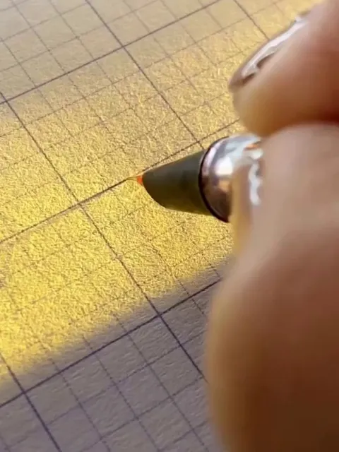 Calligraphy: the art of giving form to signs