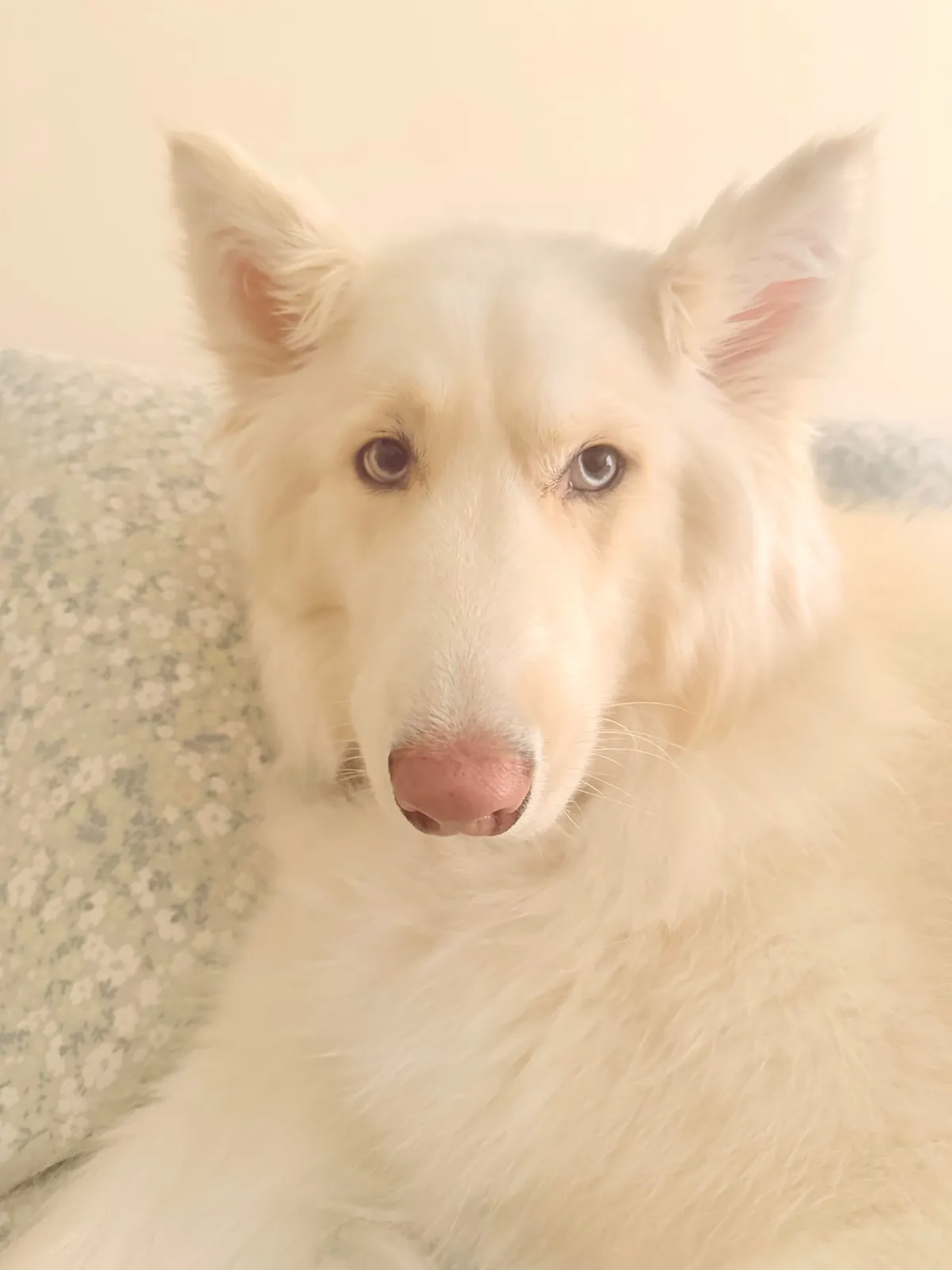 I promise she’s real!!