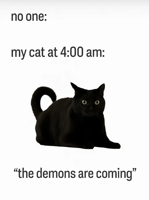 today my void waking me up just because