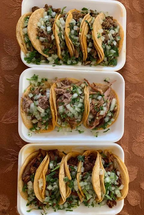 [I ate] Carne Asada, Carnitas, Al Pastor Street Tacos