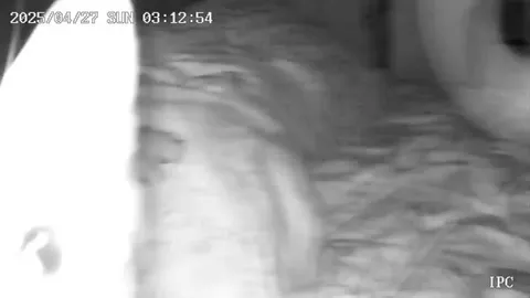 Was at work, decided to check on my kitty 🥹🥲