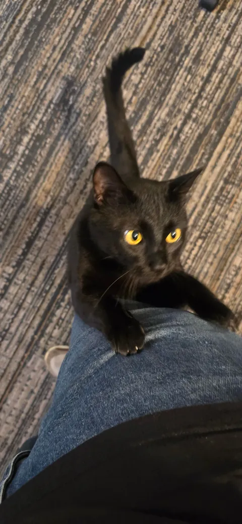 Its Friday the 13th!! Show me your Voids!!!