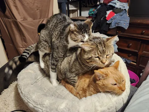 My boys are wayyy special.