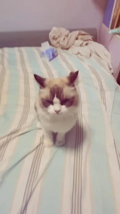 What is he saying anyway😂