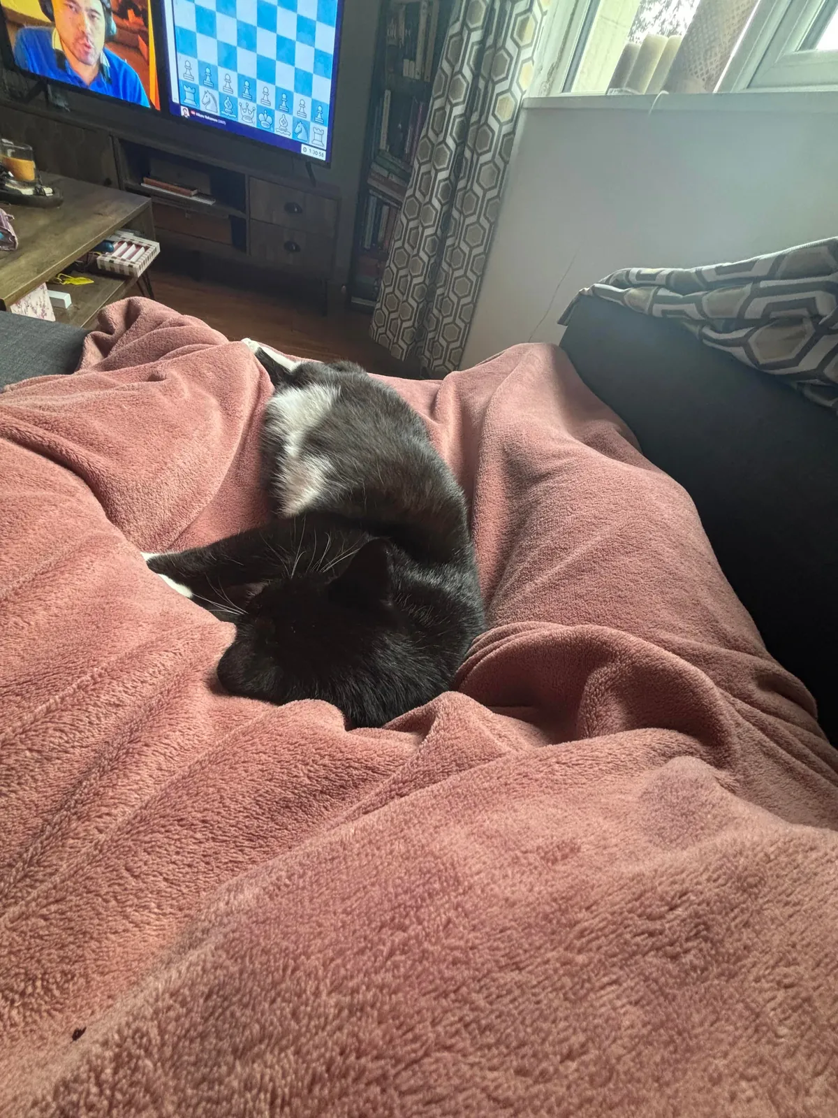 Broke in last night - Woke up to him sleeping beside me