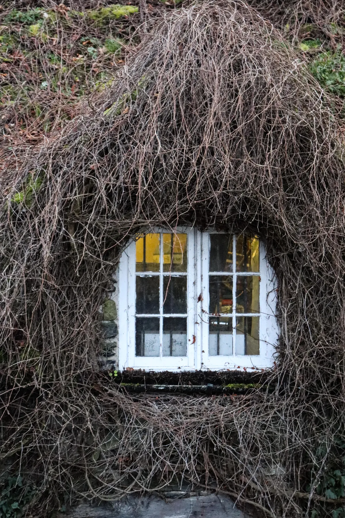 Cozy autumnal Wales 🏴󠁧󠁢󠁷󠁬󠁳󠁿