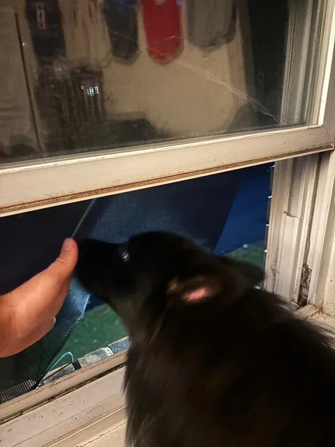 Quite the shocking text to get in the middle of a work meeting… Look at that smug face!