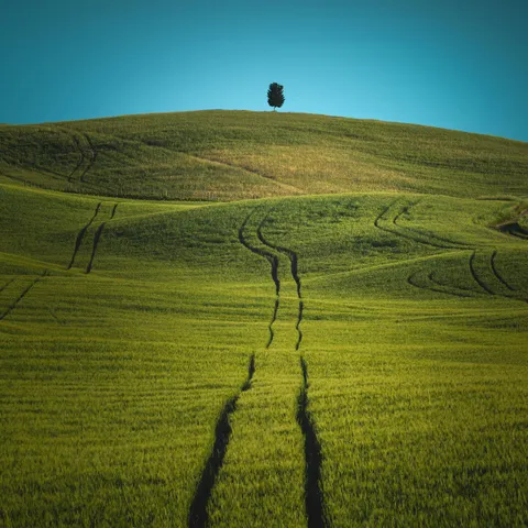 Minimalistic landscape with a single tree on the top a hill caught my eye in Tuscany, Italy (OC)[1920x1920]
