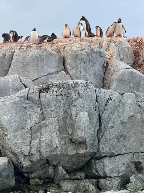 I just got back from Antarctica. It was life changing.