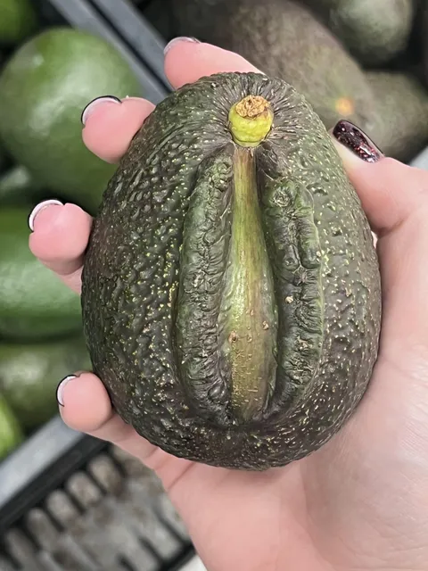 Funny shaped avocado