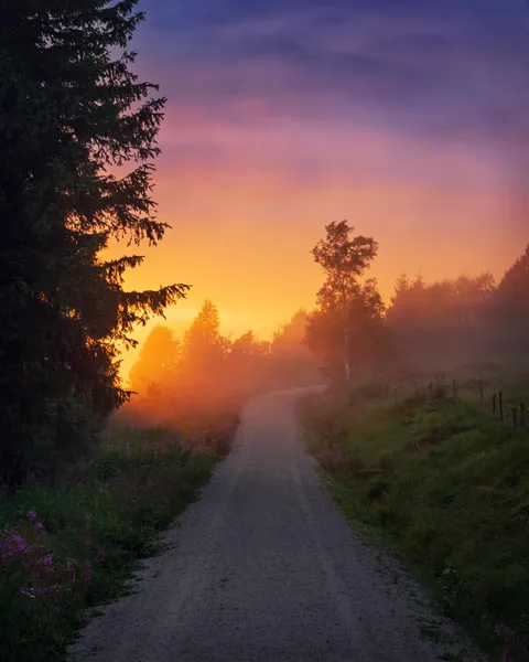 🔥Spectacular colours in the Black Forest, Germany